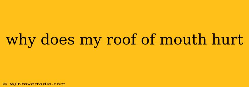 why does my roof of mouth hurt