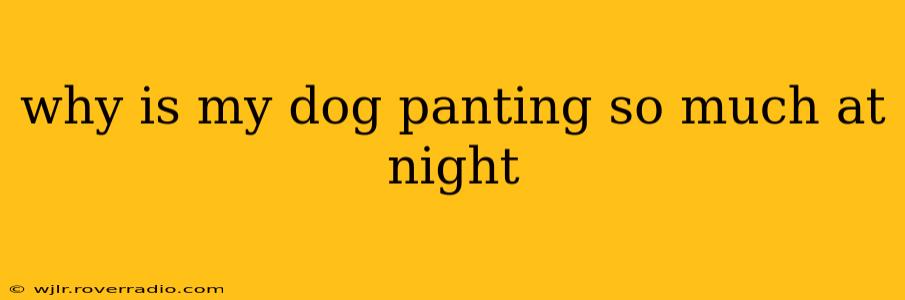why is my dog panting so much at night