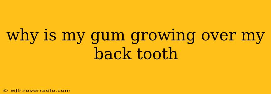 why is my gum growing over my back tooth
