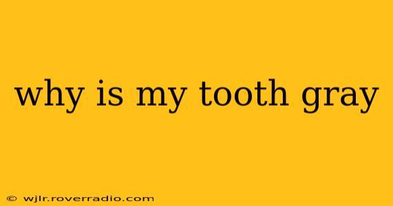 why is my tooth gray