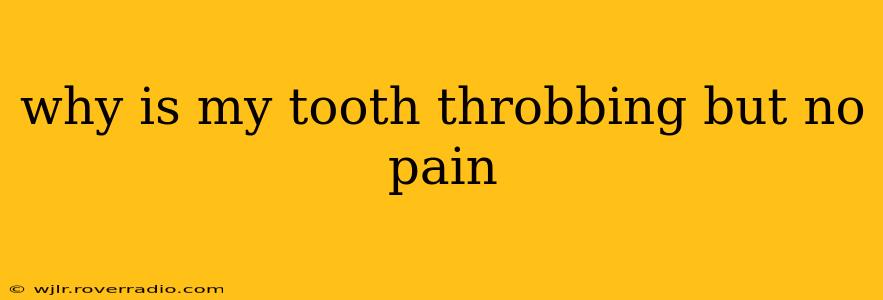 why is my tooth throbbing but no pain
