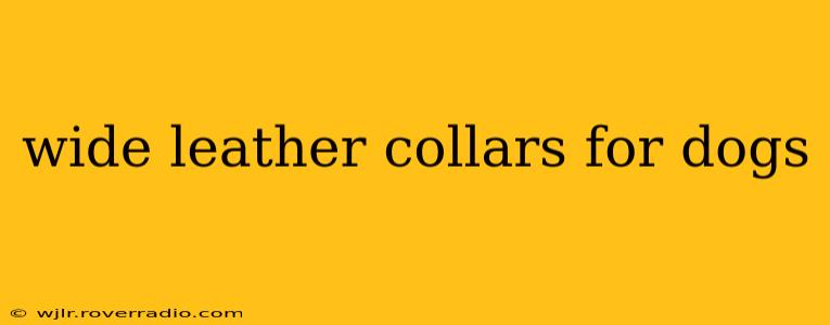 wide leather collars for dogs