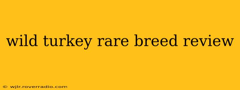 wild turkey rare breed review
