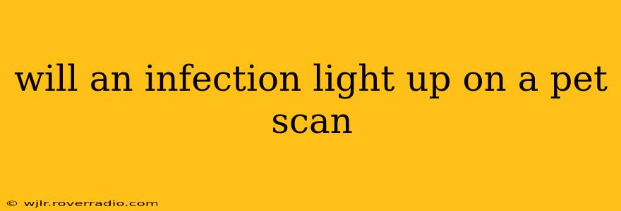 will an infection light up on a pet scan
