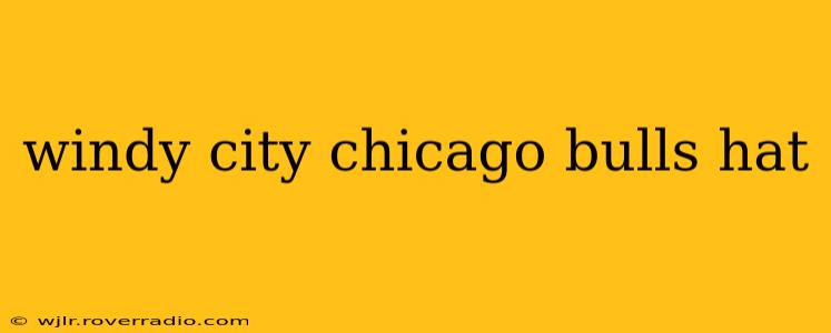 windy city chicago bulls hat