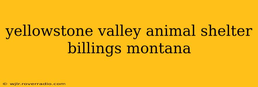 yellowstone valley animal shelter billings montana